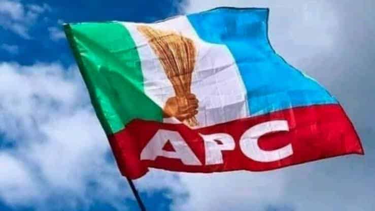 Breaking: APC Suspends National Vice Chairman…